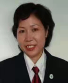 齐娟